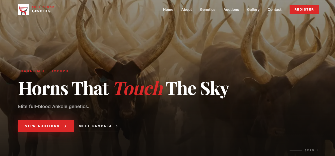 Full Blood Genetics — Ankole stud, Limpopo