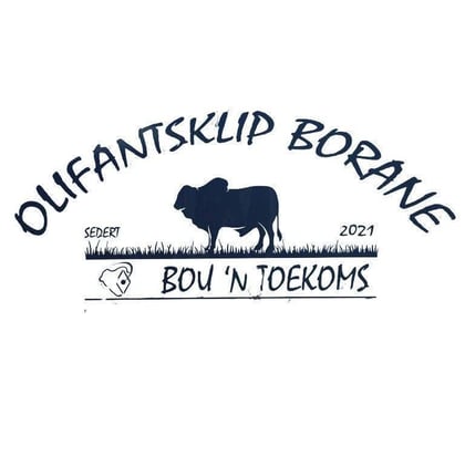 Olifantsklip Borane logo
