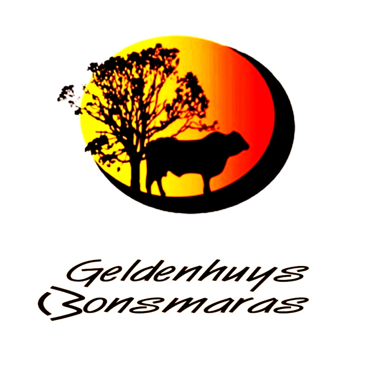 Geldenhuys Bonsmaras logo