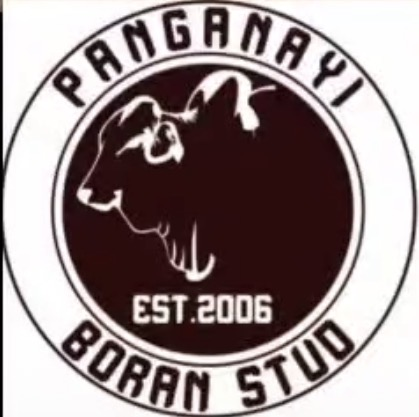 Panganayi Boran logo