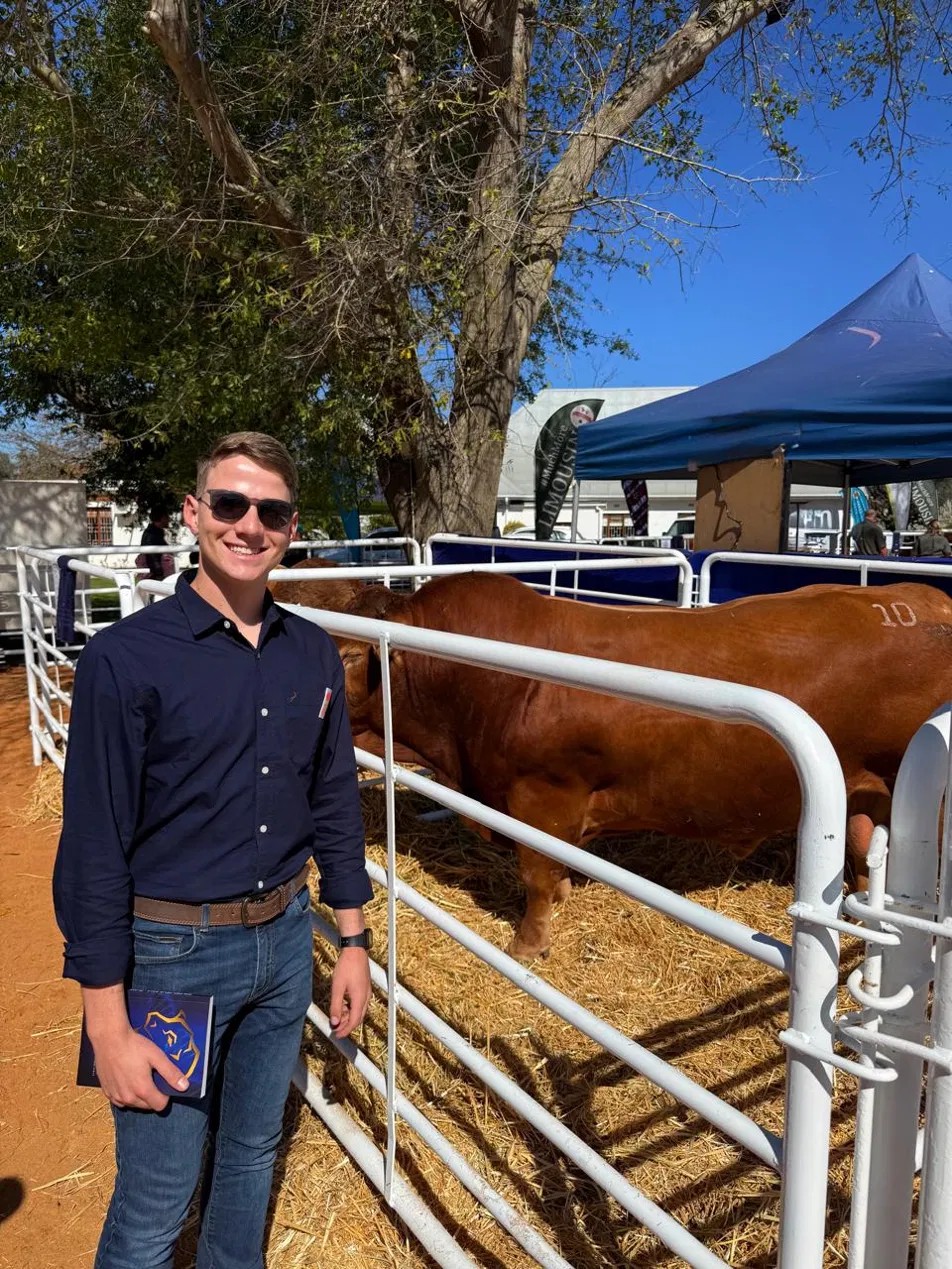 Jan Harm standing beside cattle at an auction