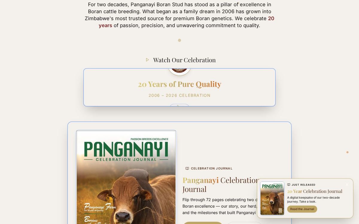 Panganayi Boran Stud celebration journal and sale-day section